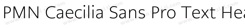 PMN Caecilia Sans Pro Text Heavy It字体转换